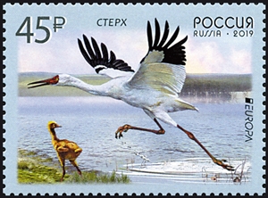 2436. Выпуск по программе «Европа». Птицы  stamp collectible - Main Image 2