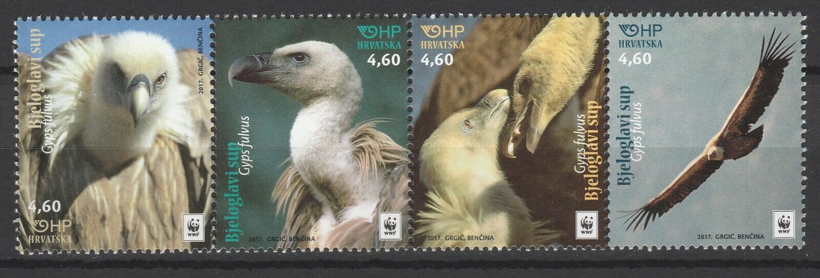 Australian Wildflowers