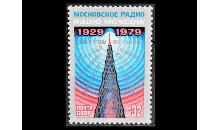 Marine Life Sea Slugs