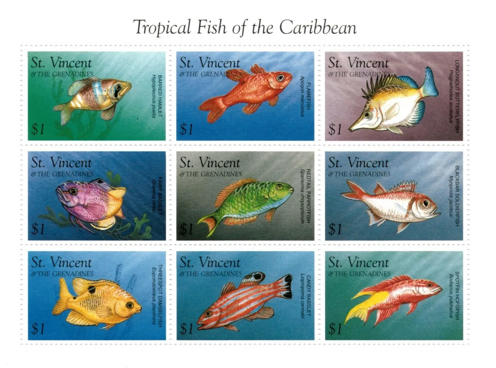 Marine Life Of Caribbean  stamp collectible - Main Image 2