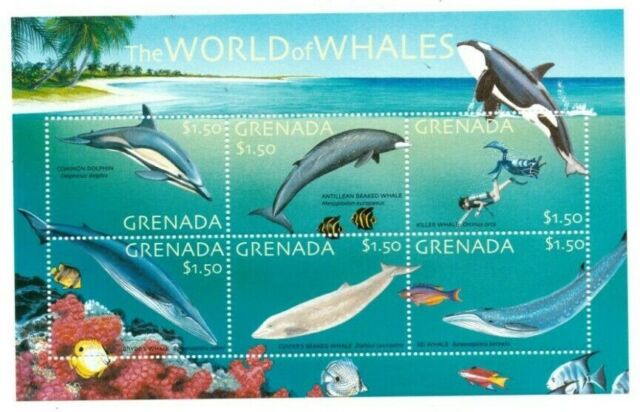 World of Whales  stamp collectible - Main Image 2