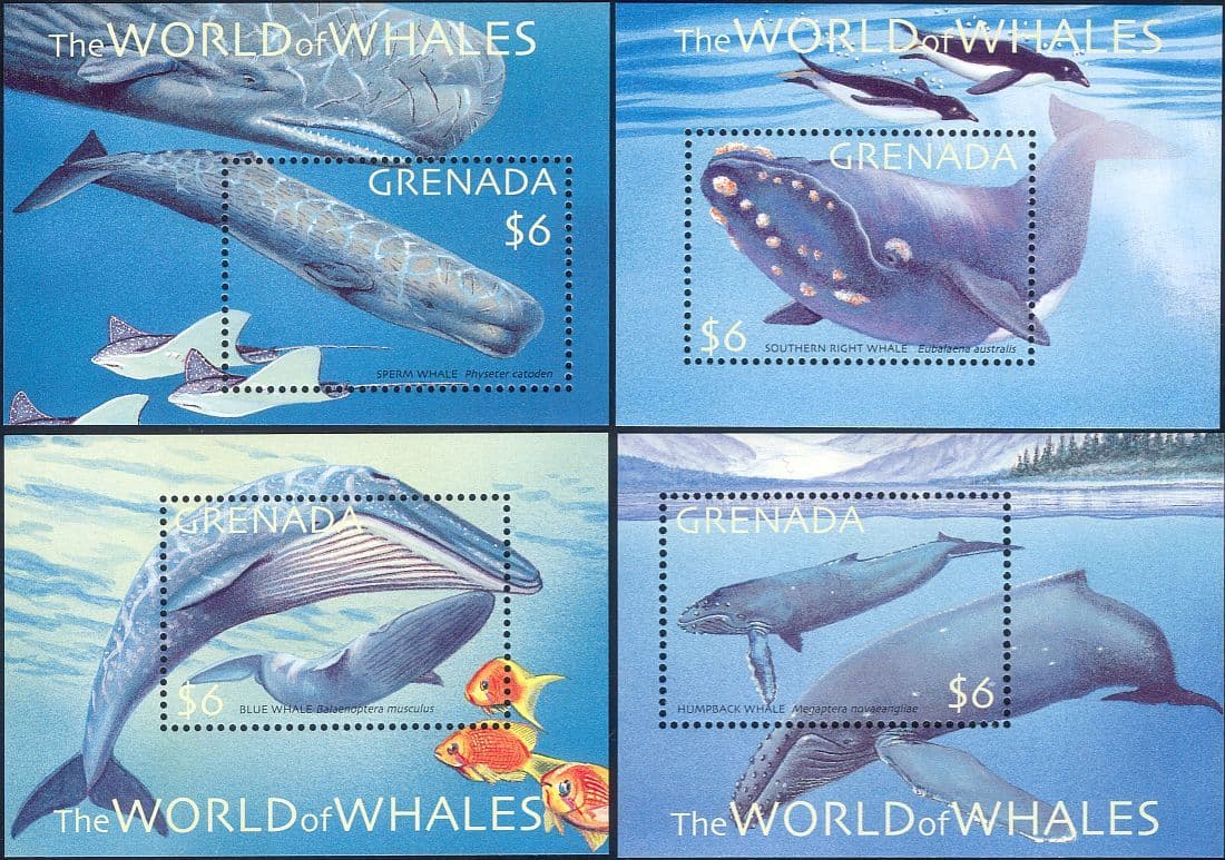 World of Whales  stamp collectible - Main Image 4