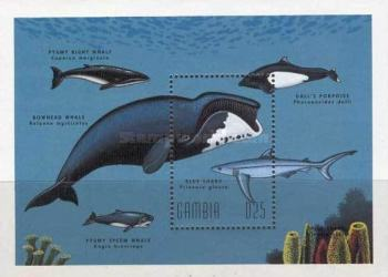 Marine Life Whales & Dolphins Of The World  stamp collectible - Main Image 2
