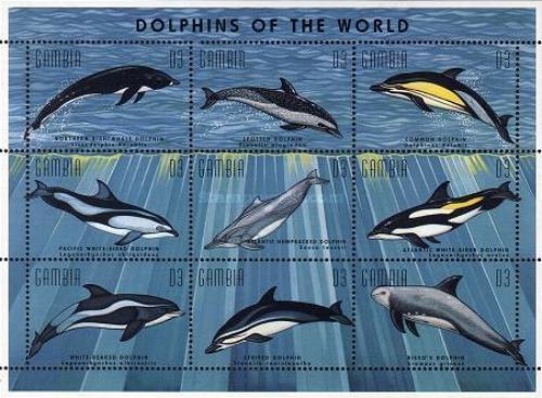Marine Life Whales & Dolphins Of The World  stamp collectible - Main Image 3