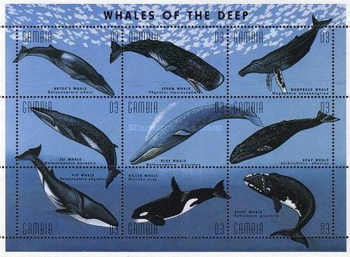 Marine Life Whales & Dolphins Of The World  stamp collectible - Main Image 4
