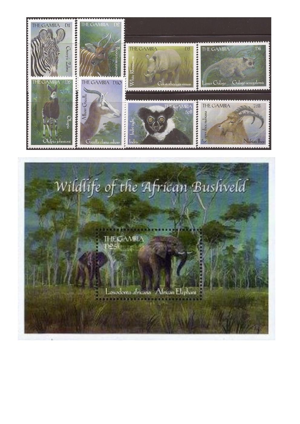 An african safari  stamp collectible - Main Image 3