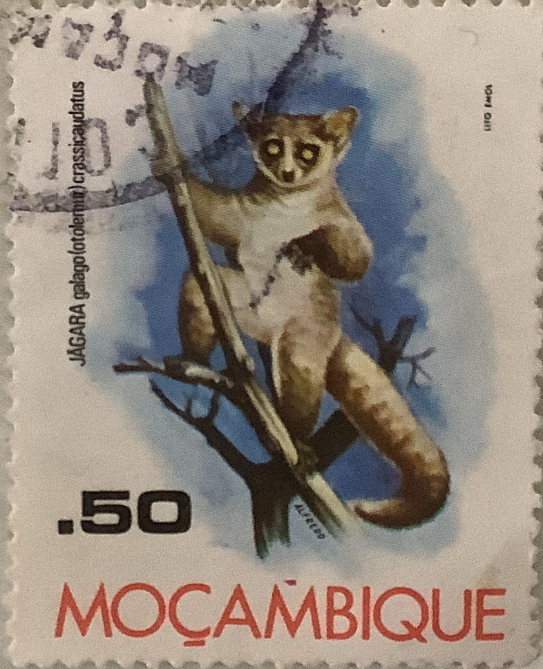 The 15th Anniversary Of The Pyongyang Zoo