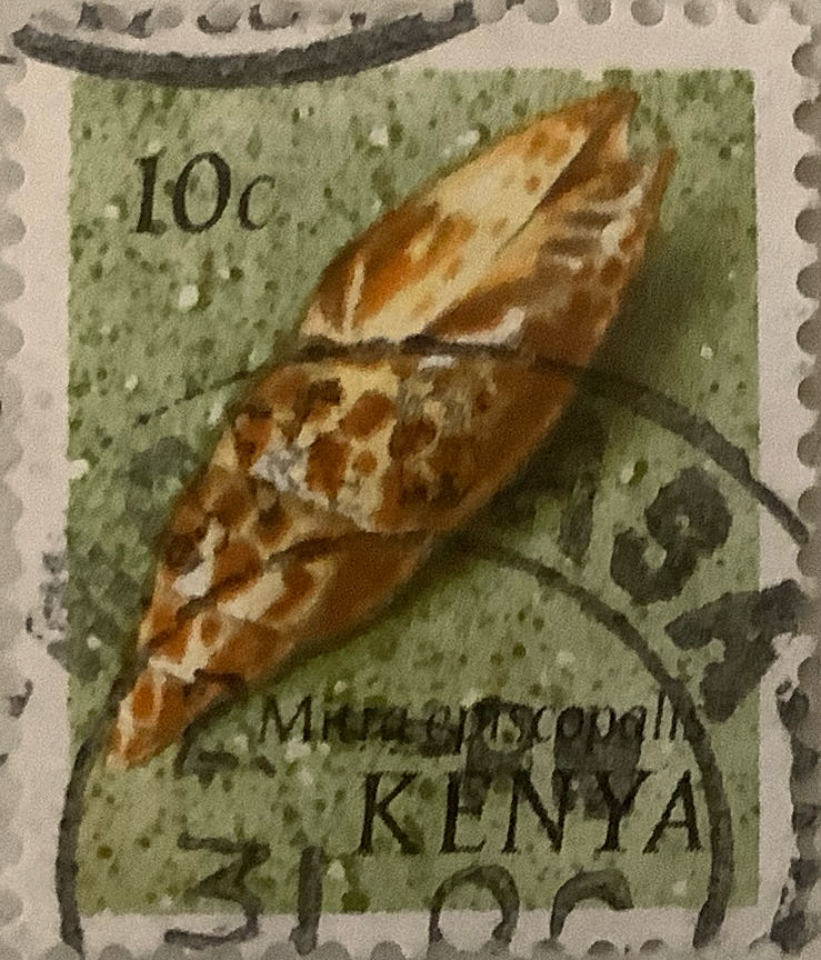 Colonial Stamps Of Australia