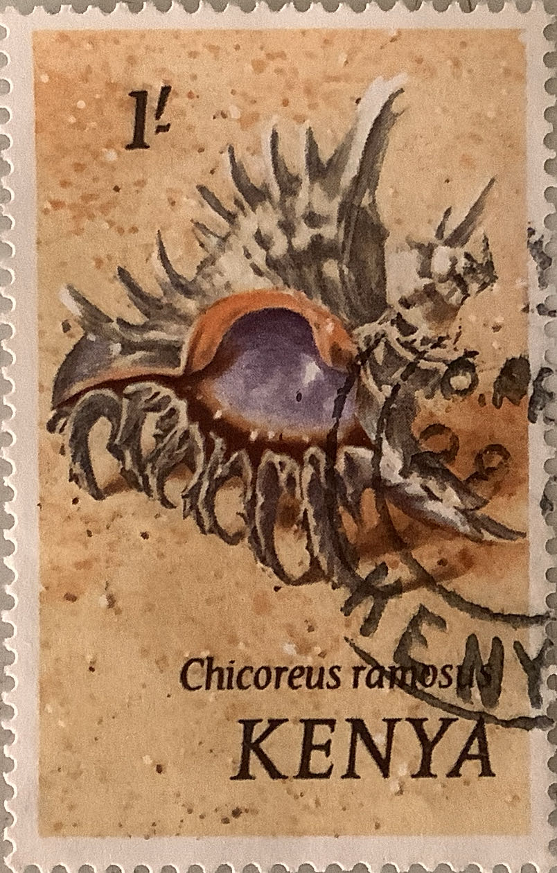 100 лет со дня рождения М.К. Чюрлениса