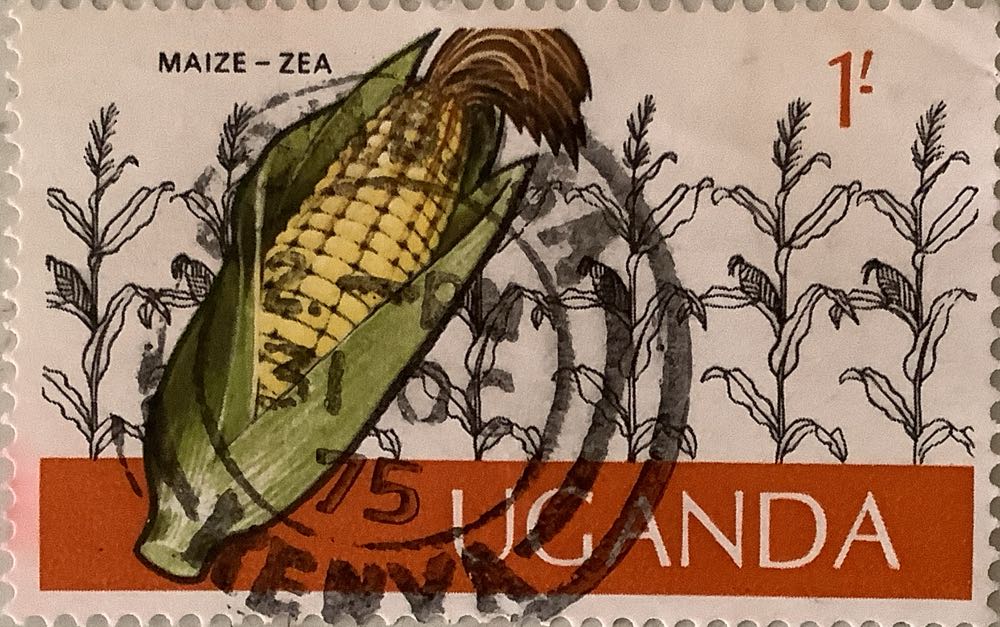 Z3782 Spooky Gnomes With Thin Cuts