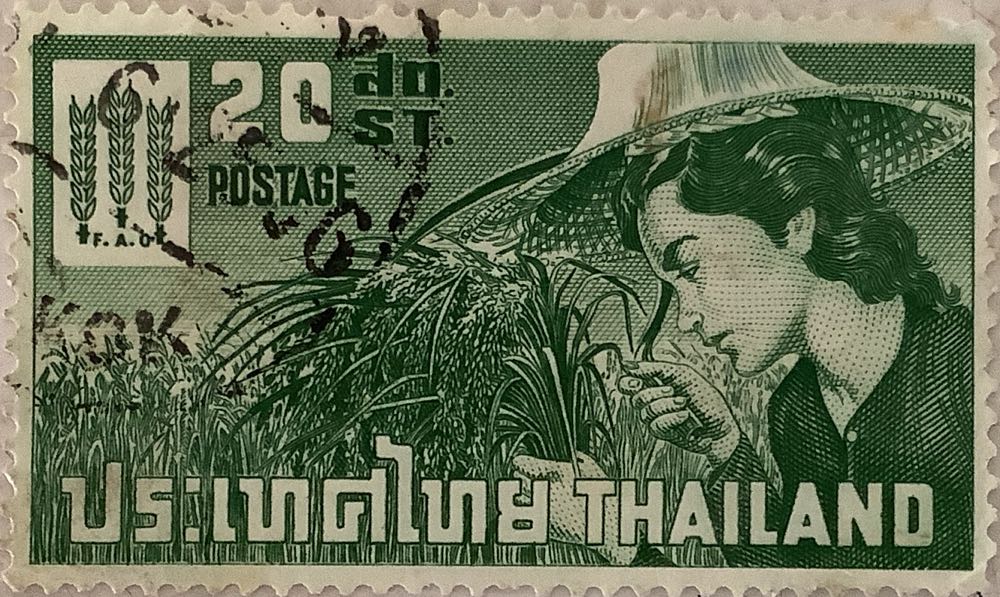 Calendar Months And Days