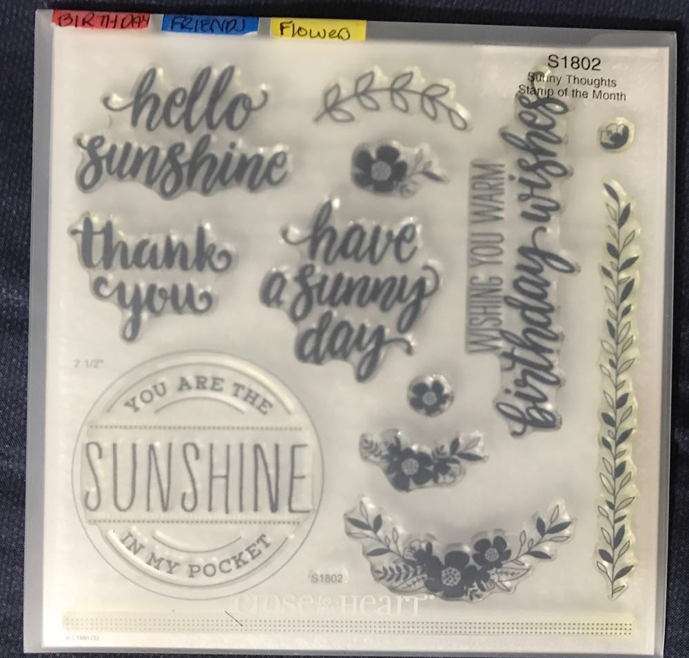 1960 Echo 1, Communications For Peace