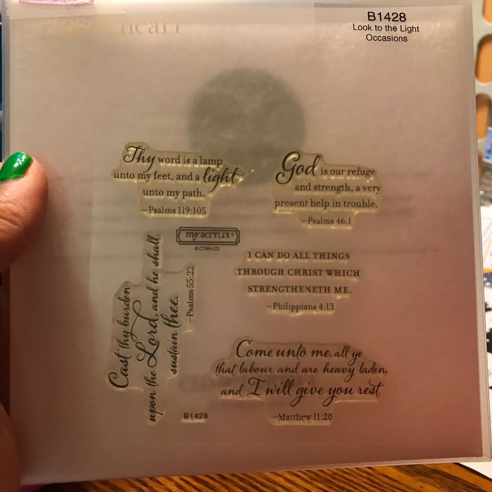 Исследования на орбитальном космическом комплексе «Салют-8» — «Союз»