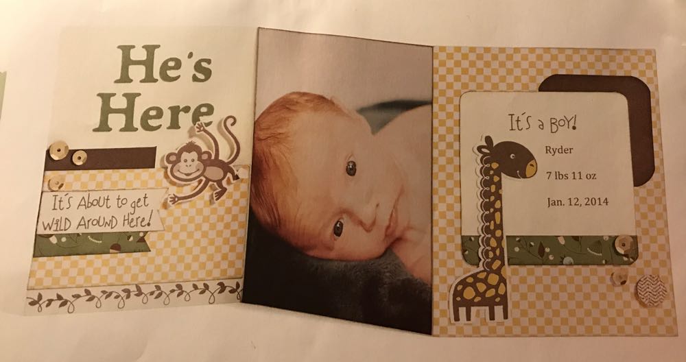 C1558 Wild Wonders  stamp collectible - Main Image 4