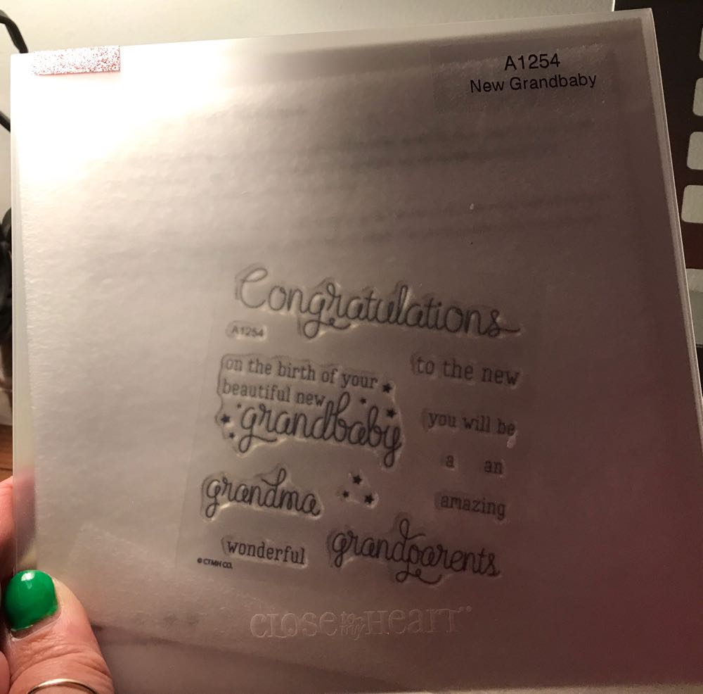 1558. 125 лет со дня рождения П.Н. Нестерова (1887-1914), военного лётчика