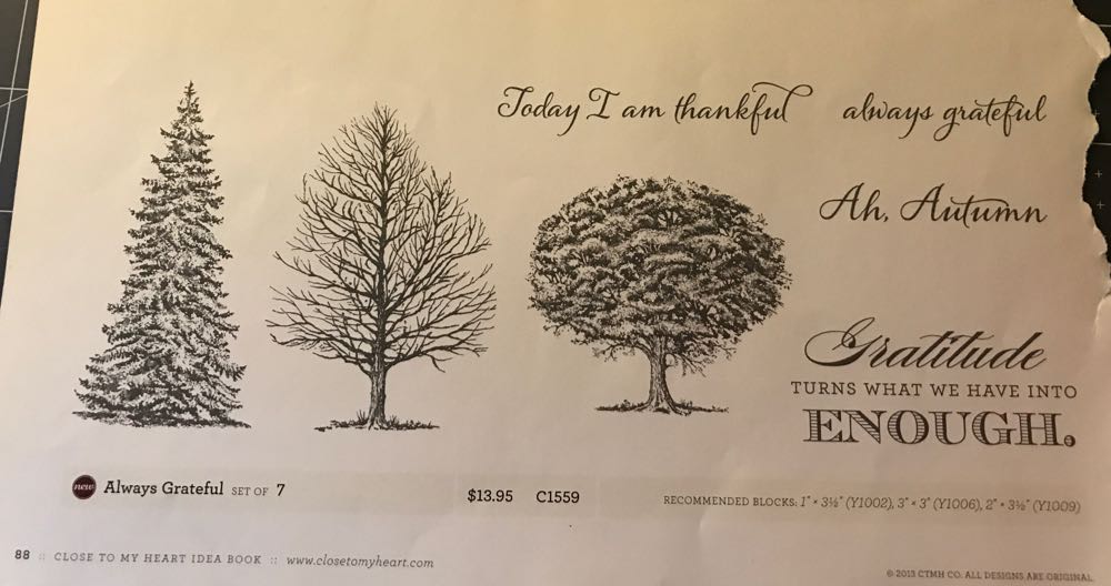 C1559 Always Grateful  stamp collectible - Main Image 2