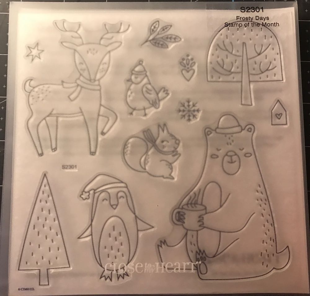 Flora And Fauna Birds From Wetlands