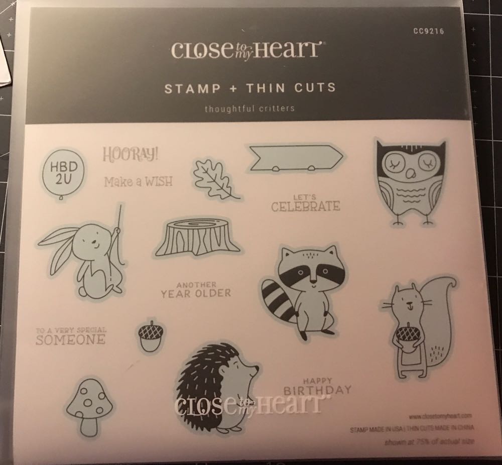 The 100th Anniversary Of Life Saving Victoria 1894 1994