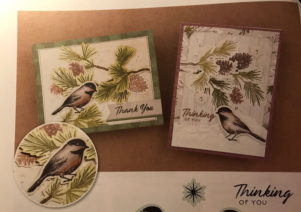 Z3633 Spruced Up Cardmaking  With Thin Cuts  stamp collectible - Main Image 3