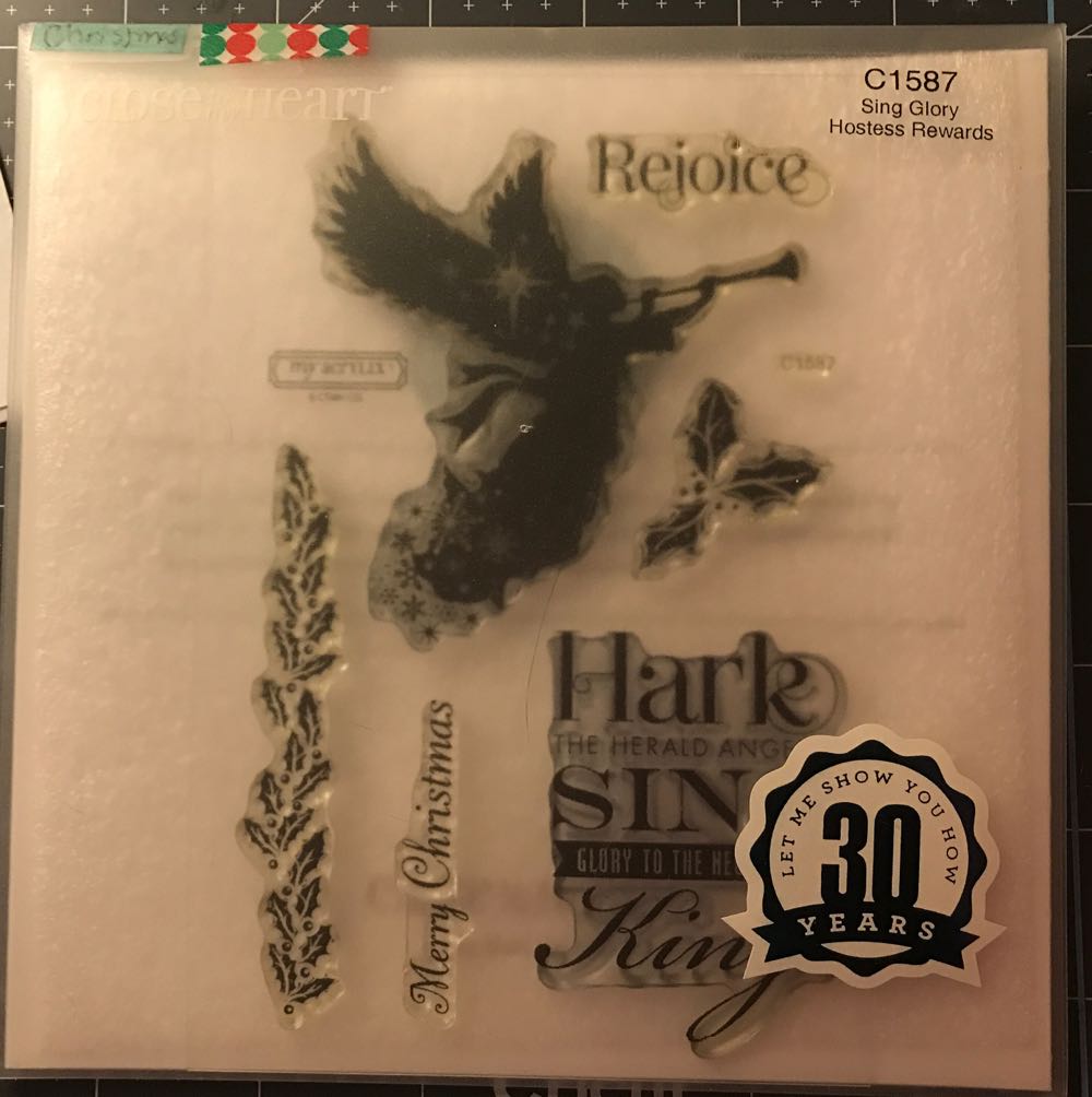 The 10th Anniversary Of The Saudi Arabian Red Crescent Society