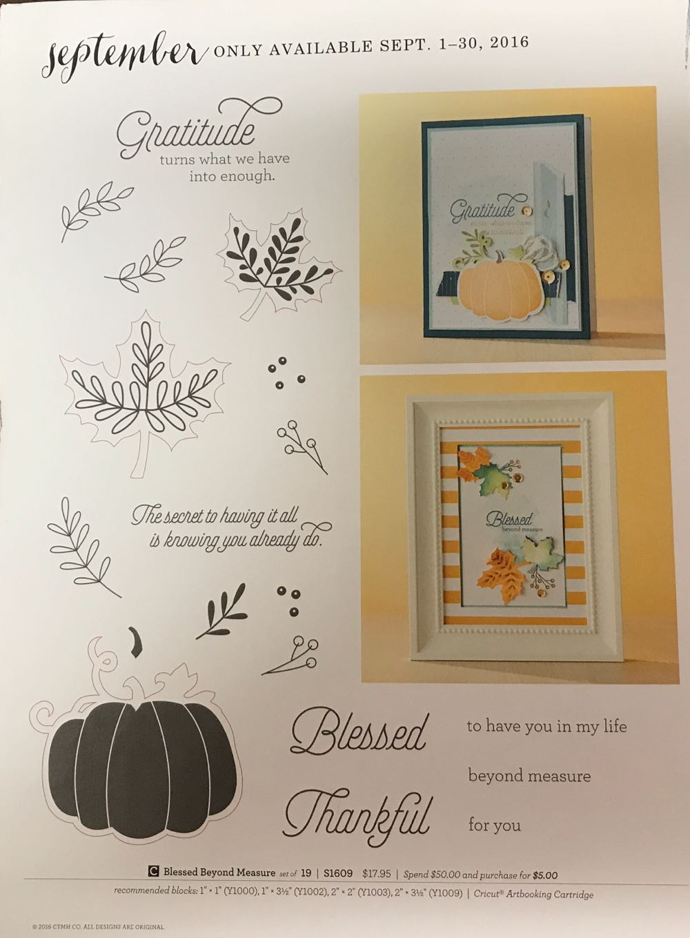 S1609 Blessed Beyond Measure  stamp collectible - Main Image 2