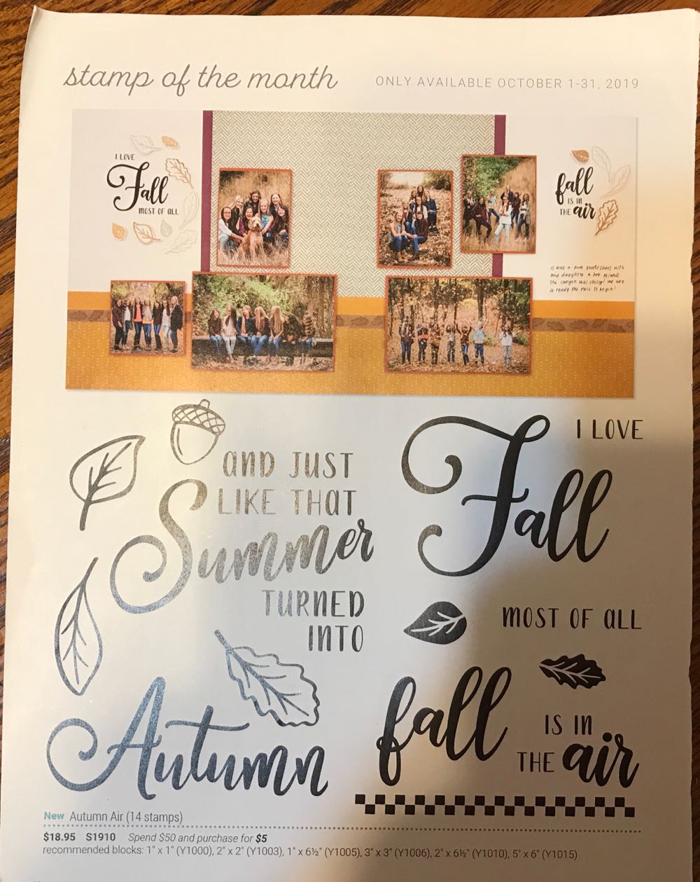 S1910 Autumn Air  stamp collectible - Main Image 2