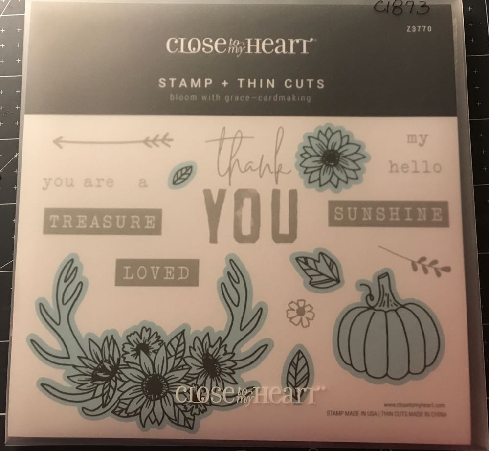 The 100th Anniversary Of Life Saving Victoria 1894 1994