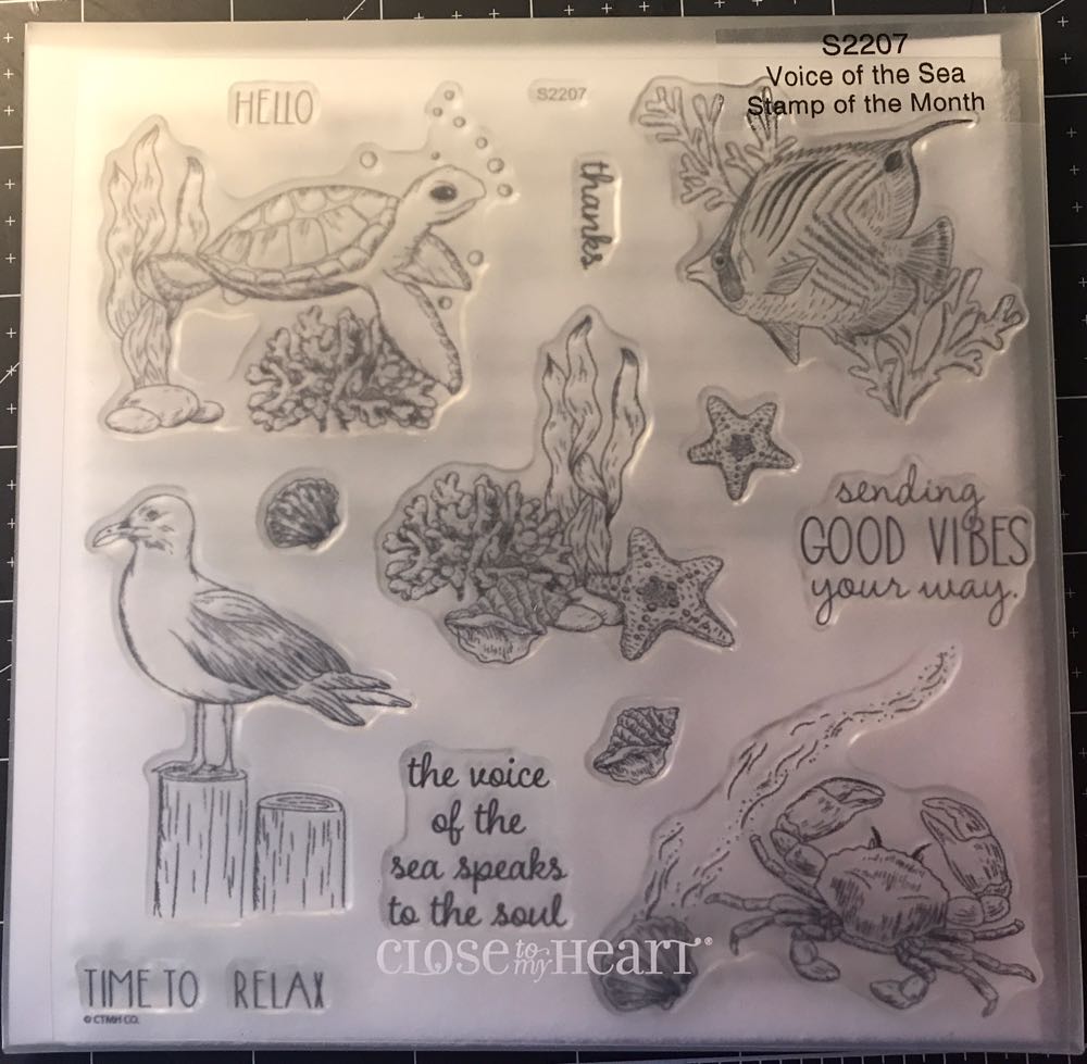 Coin Pnc $1 Coin Co Operatives Australia International Year Of Cover: Operative