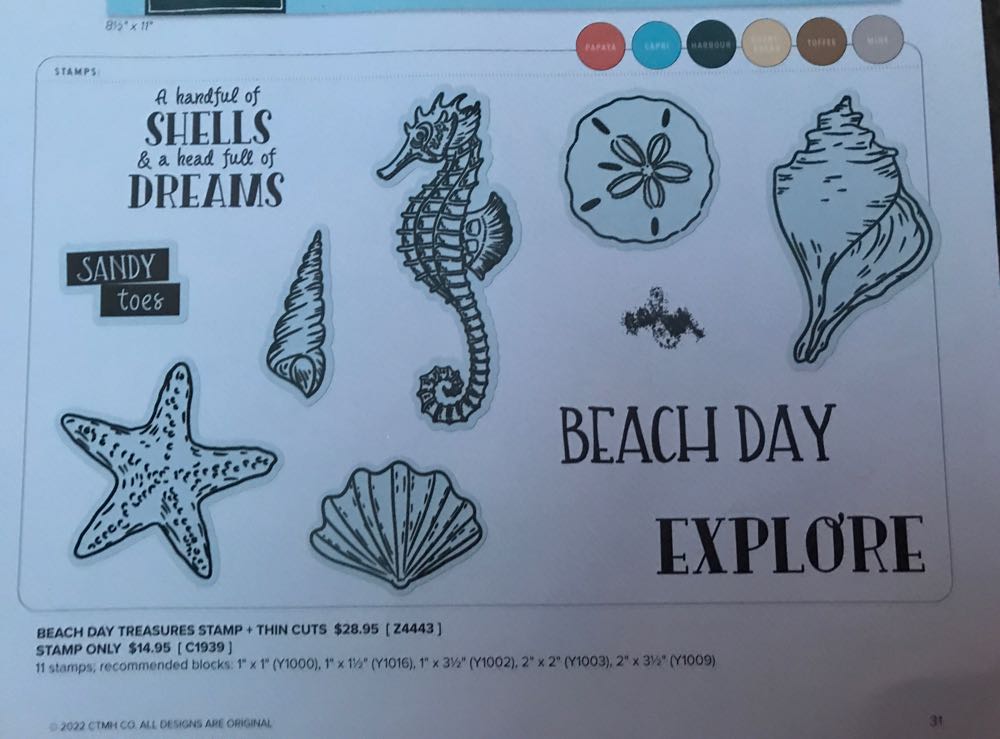 Z4443 Beach Day Treasures With Thin Cuts   stamp collectible - Main Image 2