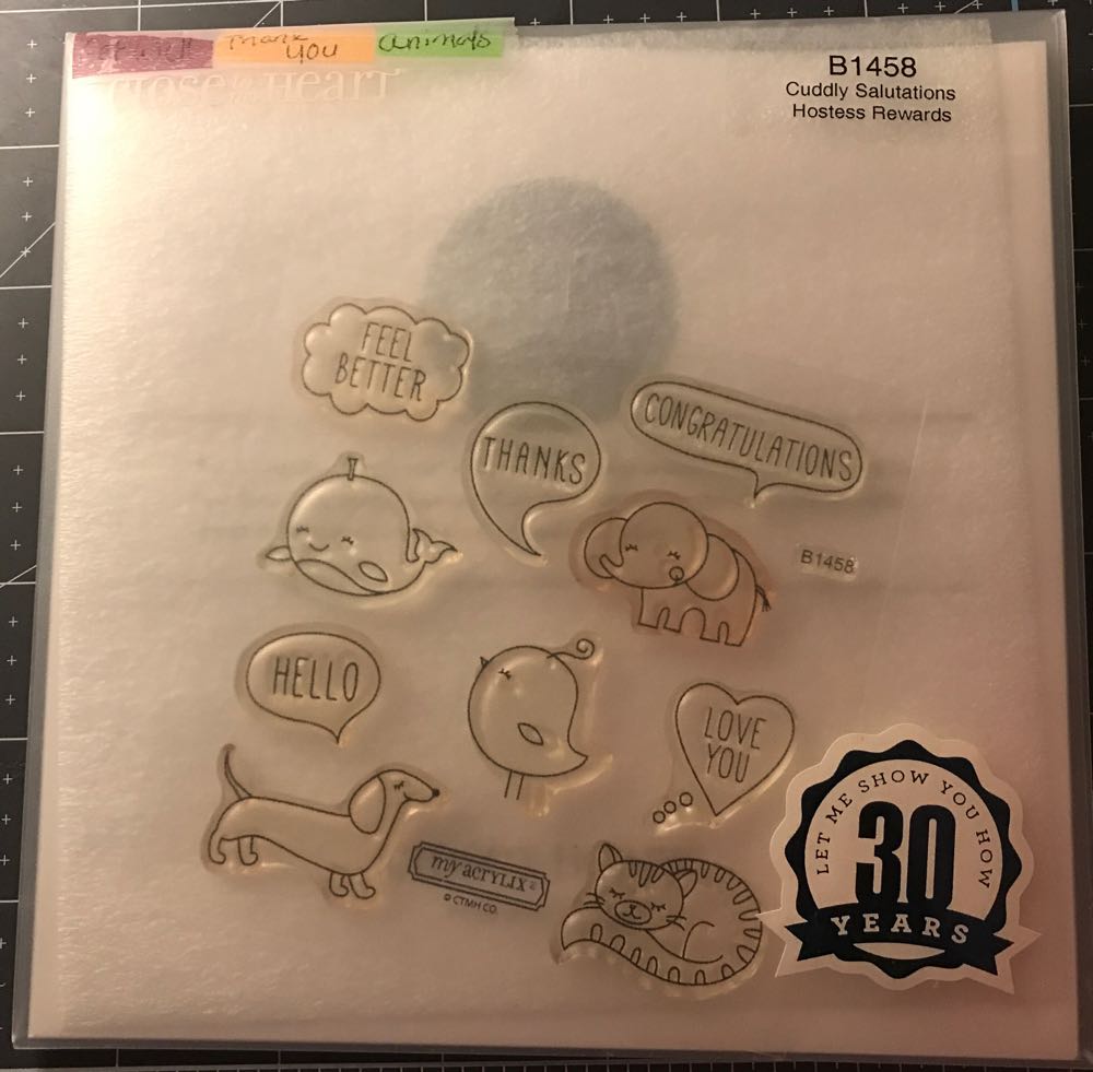 Pnc Australia Collingwood Afl Premiers 2 X Ram