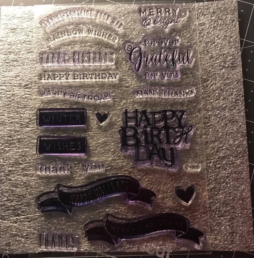 Marine Life Sea Slugs