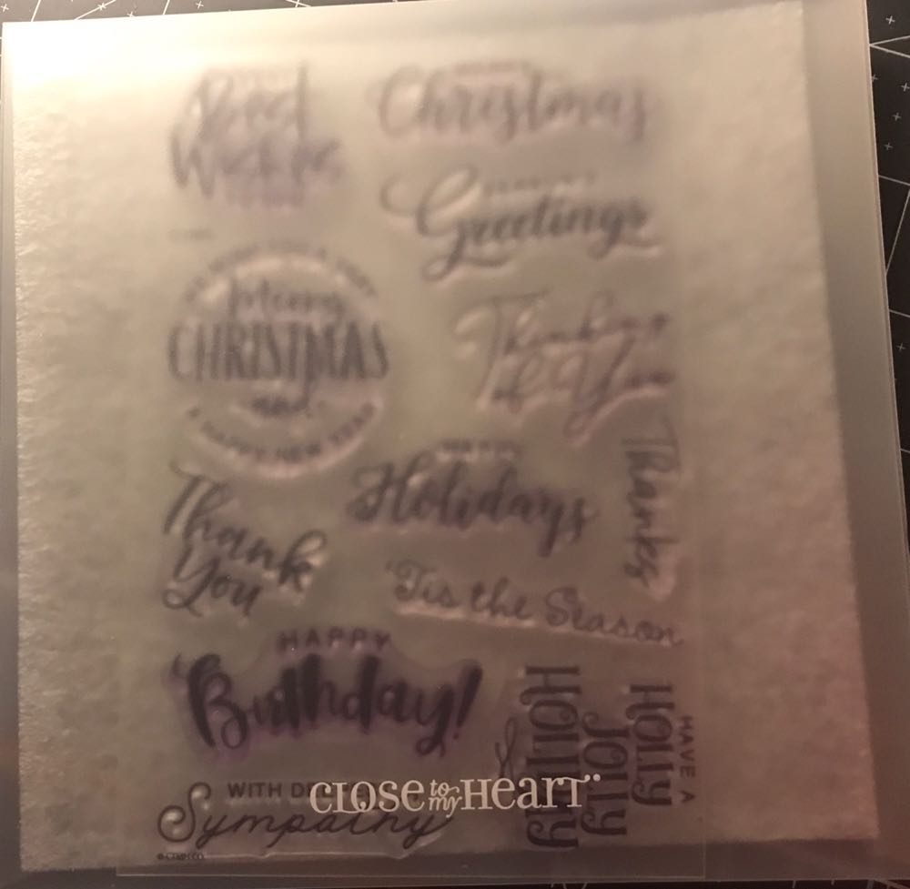 Ценные породы пушных зверей