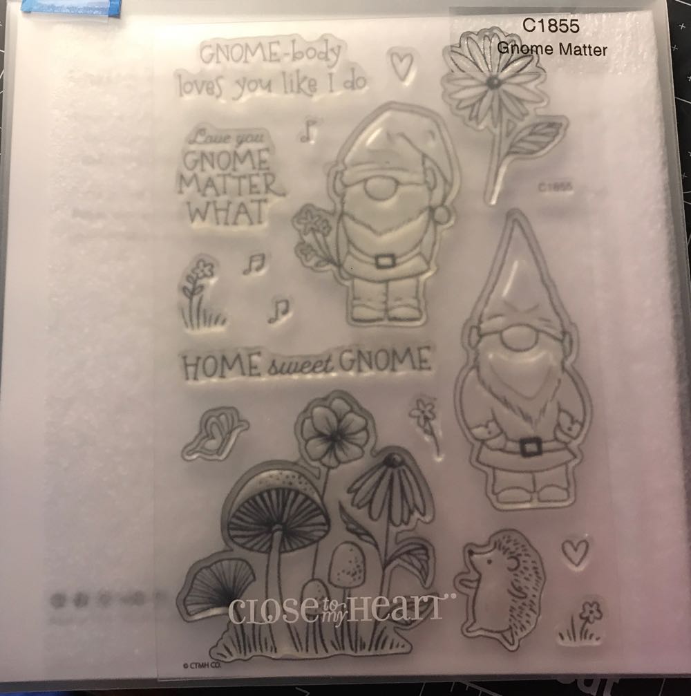 International Flower And Garden Exhibition