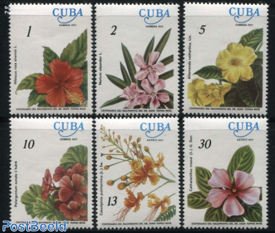 The Sorcerers Apprentice