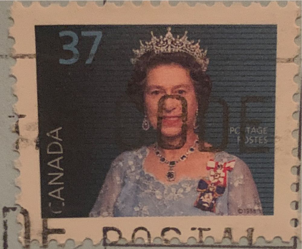 Australian Wildflowers