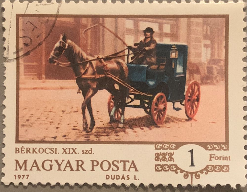 Beauty of tomorrow *  beautiful leaves dies