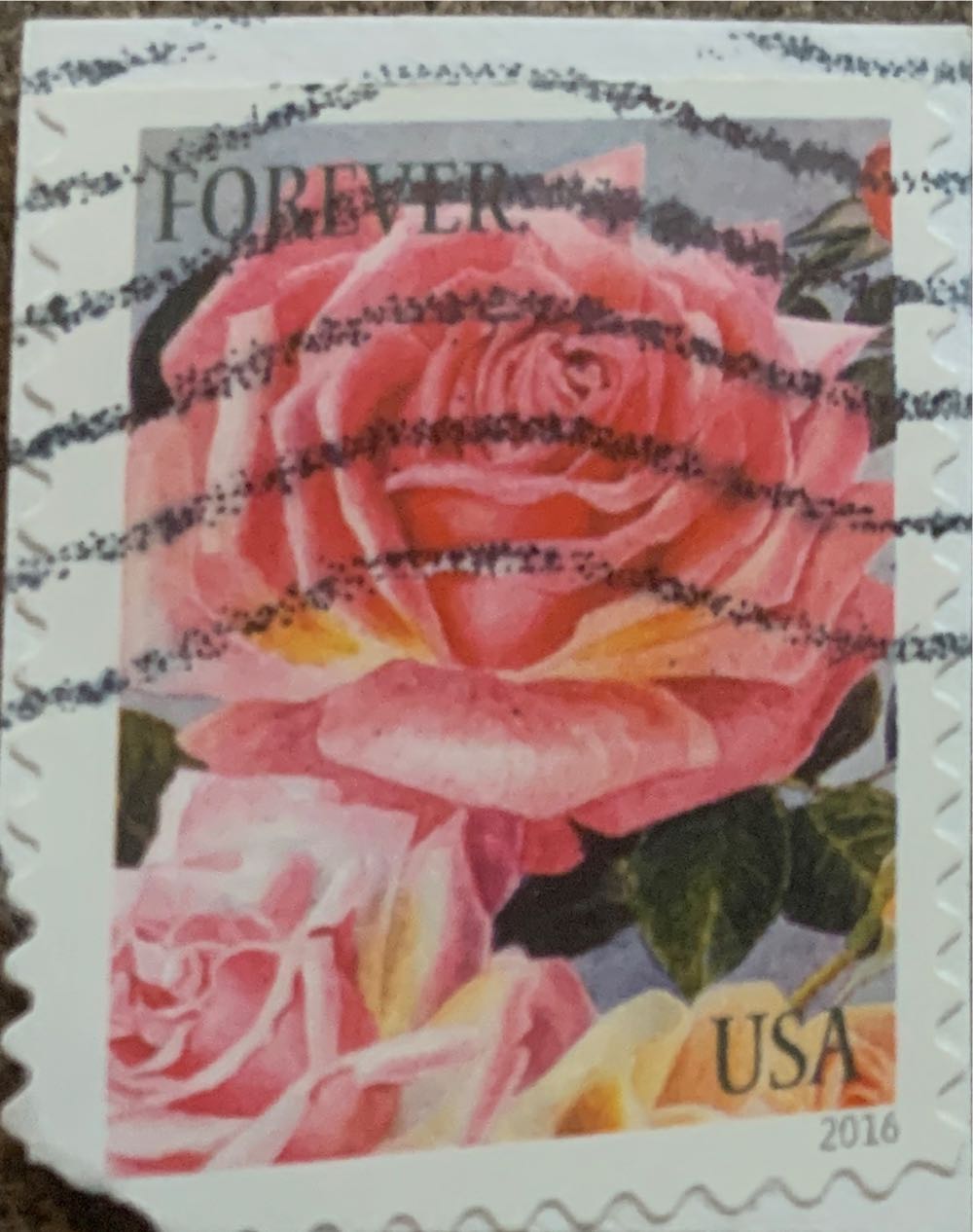 100 лет со дня рождения П.П. Кончаловского