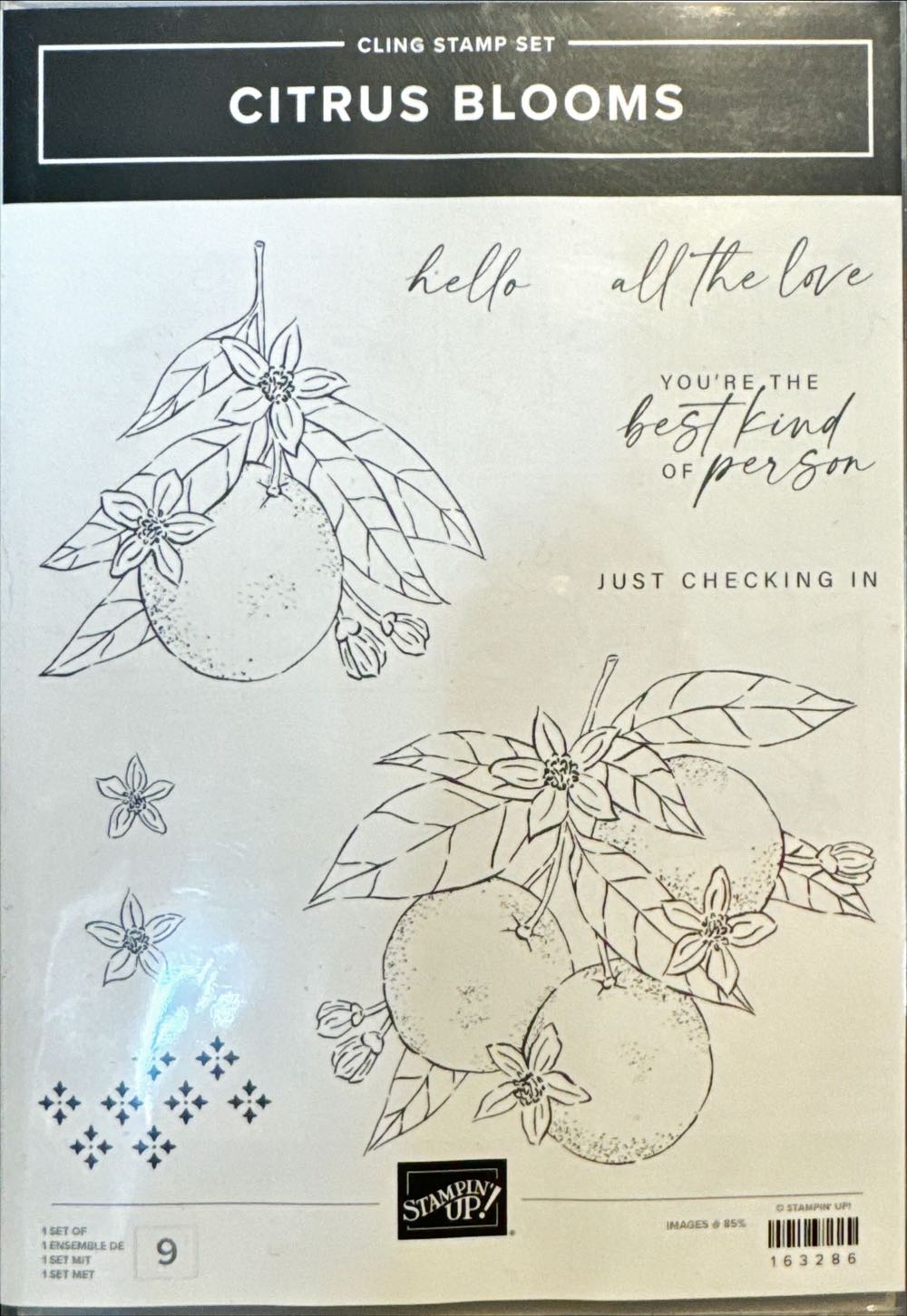 Austria 6 Heller (Postage Due)