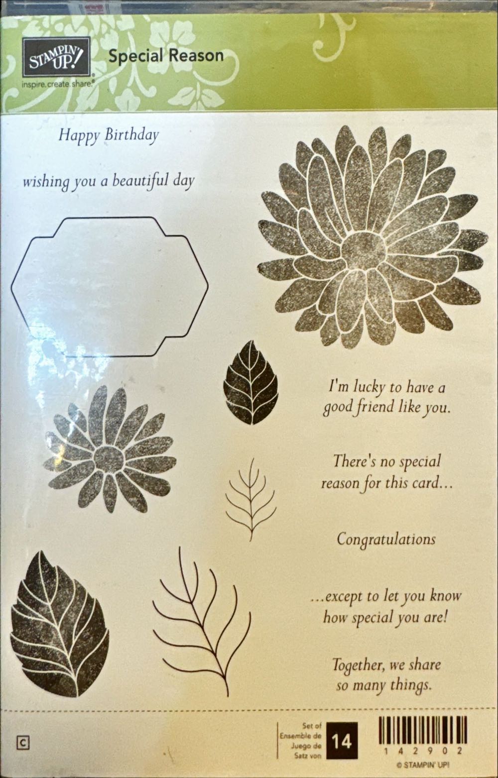 1975 Apollo Soyuz Space Test Project*