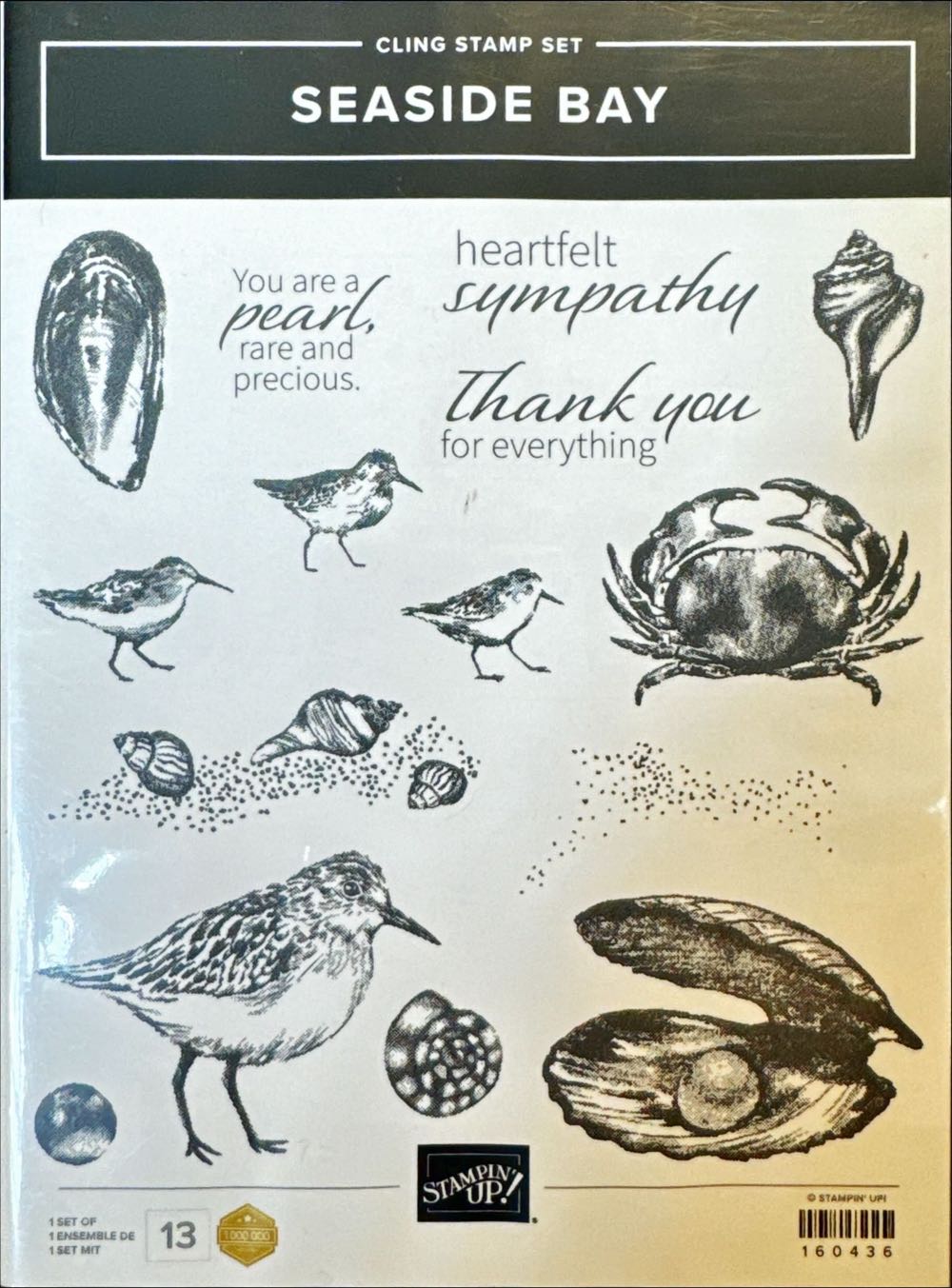 Z7135 Honey Bunny Scrapbooking With Thin Cuts