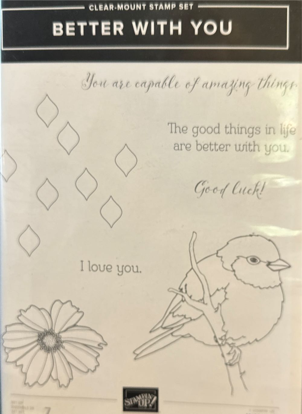 Flora And Fauna Birds From Wetlands