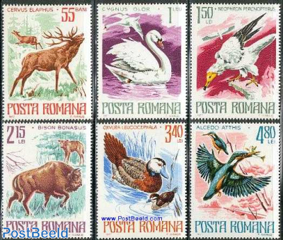 Flower Drawings By Stansslaw Wysplanski