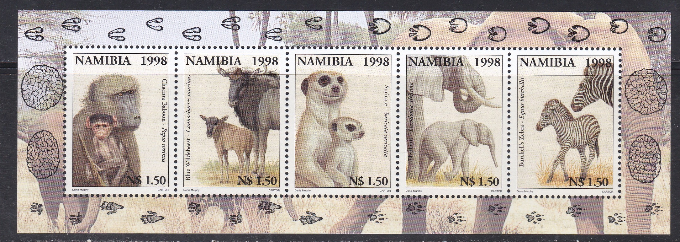 Historic Coaches In Postal Museum