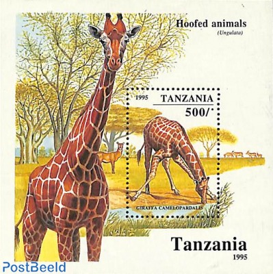 Transport And Communication