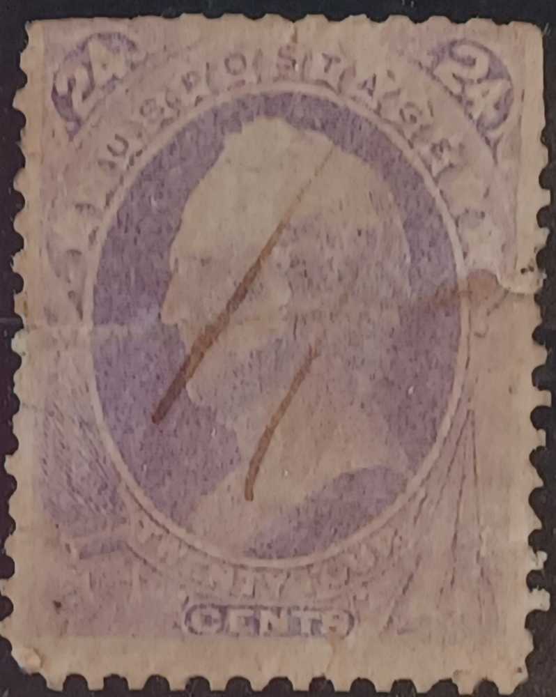 Ring Necked Pheasant