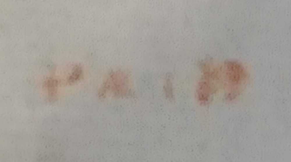 US 1  stamp collectible - Main Image 4