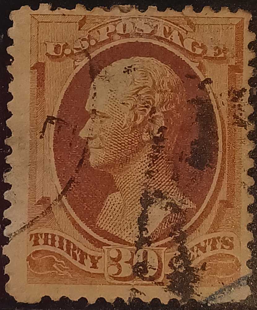 CC52019 Loyal And True