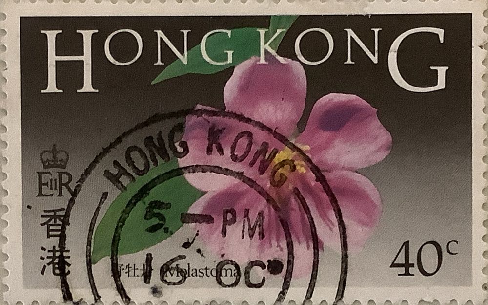 World Cup Football Spain 1982