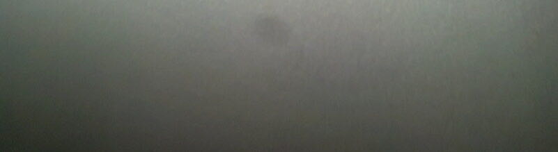 Admiral Falter  stamp collectible - Main Image 3