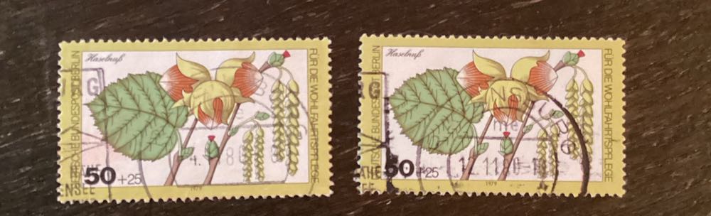 International Meteorological Centenary Meeting Set